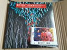 Bright Eyes - Down in the Weeds Red Orange Vinyl LP + SIGNED Print Ltd edition