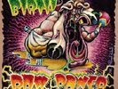 Raw Power - Birth LP - Vinyl Album RARE Classic Hardcore Punk Record