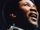 Toots and The Maytals Ska Father (Vinyl) 12