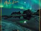 Mike Love Reason for the Season (Vinyl) 12