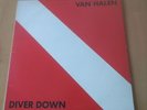 VAN  HALEN  - DIVER DOWN - VINILE LP 12