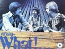 Brian Auger & The Trinity / Definitely What  / Atco Gatefold LP / Mint