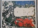 The Stone Roses - I Am The Resurrection Vinyl 12