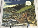 Maps & Atlases Perch Patchwork (Vinyl) BARK102LP