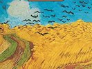 The Blackbyrds The Blackbyrds (Vinyl) 12