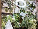 Clean Bandit – New Eyes (2014) Double LP With 12