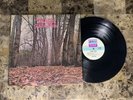 TWINK THINK PINK KILL PROG PSYCH HOLY GRAIL SIRE LABEL VINYL LP NM
