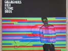 Noel Gallagher Signed High Flying Birds Vinyl Record Album LEGEND RAD