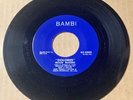 The Mood Makers 1961 DOO WOP 45 Dolores / Dream A Dream BAMBI Mint- HEAR