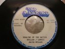 Jacob Miller – Healing Of The Nation Vinyl, 7