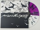 POISON THE WELL TEAR FROM THE RED VINYL LP