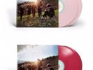 Day6 - Sunrise - Limited Color Pressing [New Vinyl LP] Colored Vinyl, Ltd Ed, As