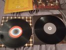 kasabian west ryder pauper lunatic asylum 2009 Mint Condition