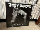 Ya Know by RAMONE Joey (2-LP-Set ) (Record, 2012) Ramones Vinyl Punk BMG