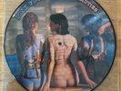 LP 33 PICTURE DISC PINK FLOYD RARE BEAUTIES
