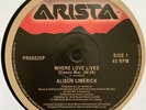 Alison Limerick - Where Love Lives - New Vinyl Record 12 - A7435z