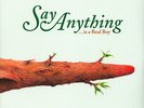 Say Anything - Is A Real Boy (Vinyl 2LP - 2020 - US - Original)