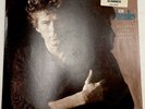Don Henley Building The Perfect Beast Vinyl Record 12” 33 RPM Geffen 1984