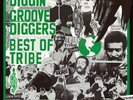 V.A. - Diggin Groove-Diggers - Best Of Tribe - (Vinyl LP - 2022 - JP - Original)