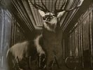 LAIBACH - Nova Akropola (Record Store Day RSD 2023) - Vinyl (2xLP)