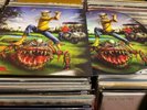 IRON MAIDEN LP PICTURE DISC-THE EVIL IN FLORIDA-MINT
