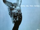 SUNNY DAY REAL ESTATE The Rising Tide - Clear Vinyl LP Record Store Day RSD 2017