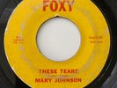 Mary Johnson - These Tears / Lost Love - FOXY 001..