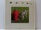 Rush Signals  Vinyl 1982 Mercury Records Pressing SRM-1-4063 All Original LP NM