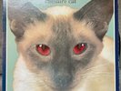 Blink-182 - Cheshire Cat, Vinyl LP Original 1996 Cargo GRL-001 Red Eyes W/Insert