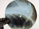 NINA SIMONE FOR ALL WE KNOW X-Ray USSR Record Roentgen Bones Ribs Music Vinyl