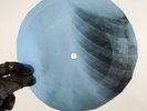 F. SINATRA I HAD MY MOMENTS X-Ray USSR Record Roentgen Bones Ribs Music Vinyl