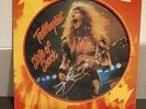 TED NUGENT  State of Shock PICTURE DISC LP * 1979 Promo Copy Not For Sale Ltd Ed