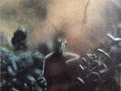 Steely Dan-Katy Lied LP 1975 12” Vinyl Record ABCD-846 VG+
