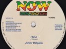 JUNIOR DELGADO - HIPO 1986 UK REGGAE 12