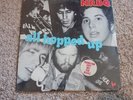 NRBQ All Hopped Up Vinyl Red Rooster LP101 Original 1977 PROMO - SEALED