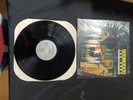 Ice Cube- Death Certificate Vinyl LP Original 1991 Priority Records