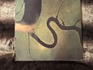 The Serpent's Egg von Dead Can Dance  (Schallplatte, 2017)