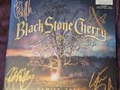 Black Stone Cherry HAND SIGNED VINYL Family Tree Limited Edition Transparent