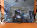 TOOL FEAR INOCULUM LE 5LP BOX SET NEW LP SEALED & EXTENDED BOOK EDITION
