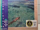 SEASIDE LOVERS - Memories In Beach House, Limited GREEN COLORED VINYL LP