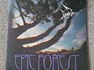 Rare Bird - Epic Forest LP UK Original 1972 Polydor Prog Psych + 7
