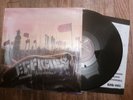 EFFIGIES Remains Nonviewable LP Hardcore Punk Chicago Indie ROADKILL RECORDS
