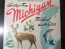 Sufjan Stevens- Michigan -University of Michigan/Michigan State blue green vinyl
