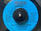 RARE MIAMI BOOGIE ROBERT WILLIAMS TURBINE Do you want to boogie FUNK BOOGIE 45