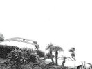 Hot Dreams by Timber Timbre (Record, 2014) NEW VINYL (LP)
