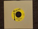NORTHERN SOUL THE BUTLERS SHE TRIED TO KISS ME 7