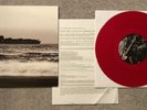 Gillian Carter - Lost Ships Sinking With the Sunset vinyl 10” EP  record RARE
