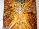 Cynic's 