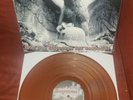 Jungsturm Bis Der Schatten LP 247/500 Brown New Punk Oi ISD RARE OOP Rock O Rama