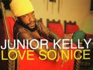 Junior Kelly ‎- Love So Nice LP Vinyl Album - SEALED NEW Reggae Record big tune